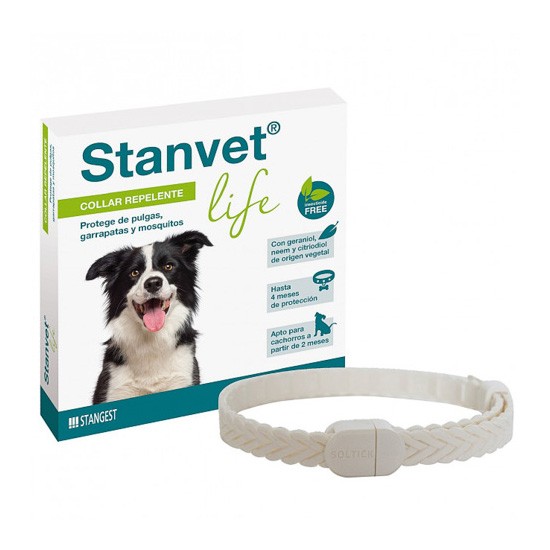 Stangest collar stanvest life perro